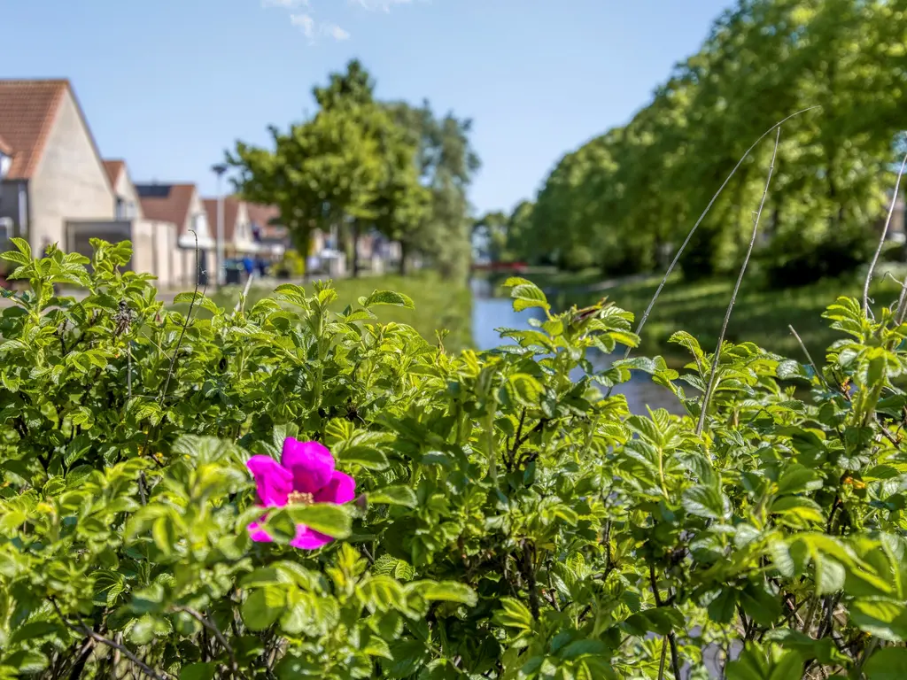 Isabelladonk 11, Roosendaal