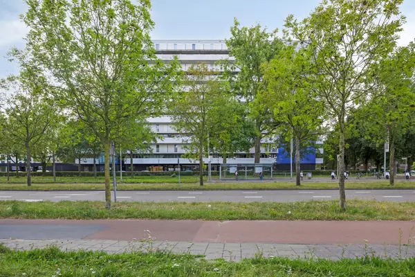 Vijfhagen 131