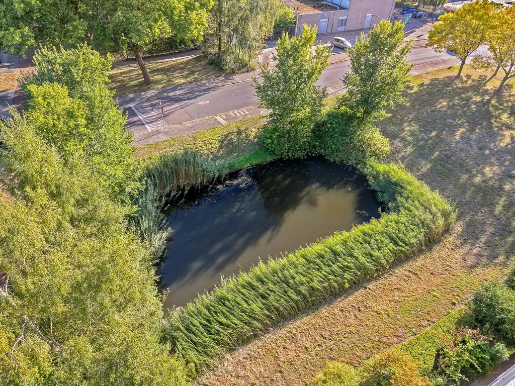 Antwerpenstraat 88, Breda