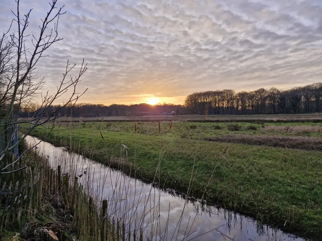 Raaimoeren 35, Breda