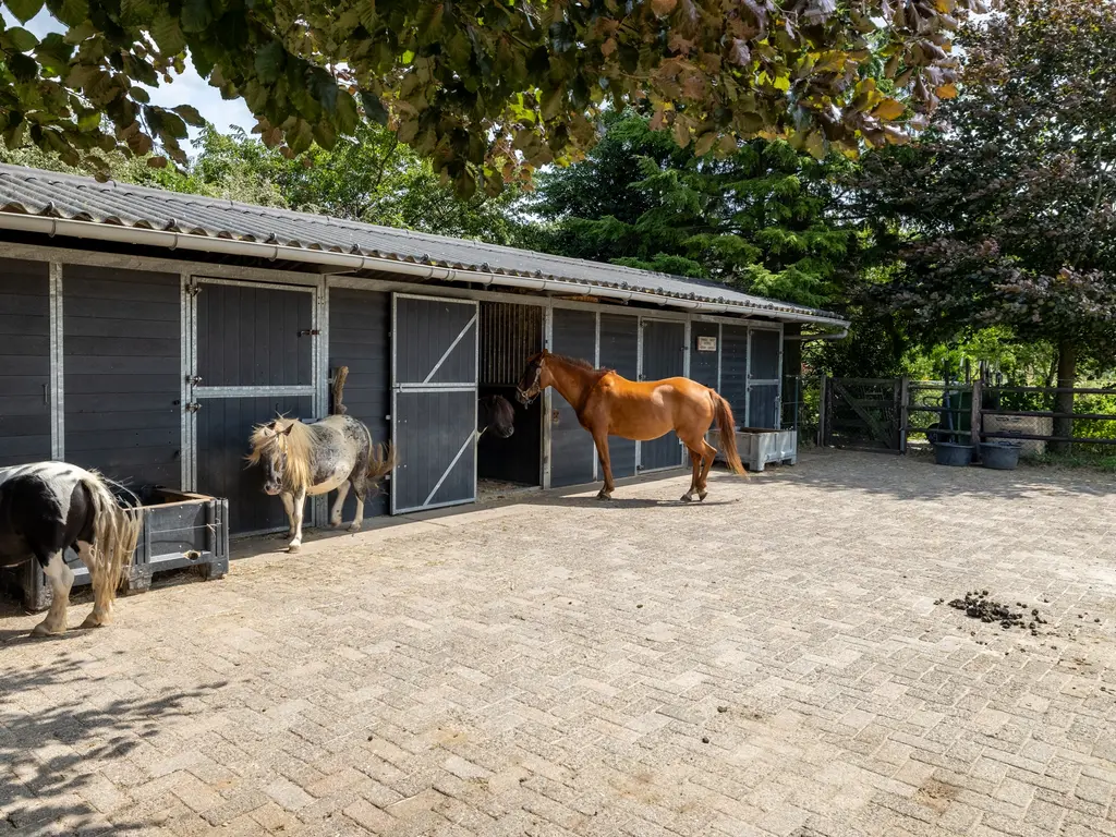 Luitertweg 3, Klein Zundert