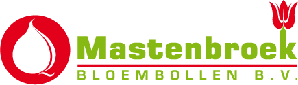 Mastenbroek Bloembollen