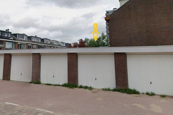 Ranonkelstraat 3 , ZWIJNDRECHT