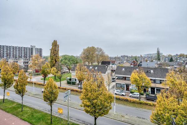 Plantageweg 113, ZWIJNDRECHT