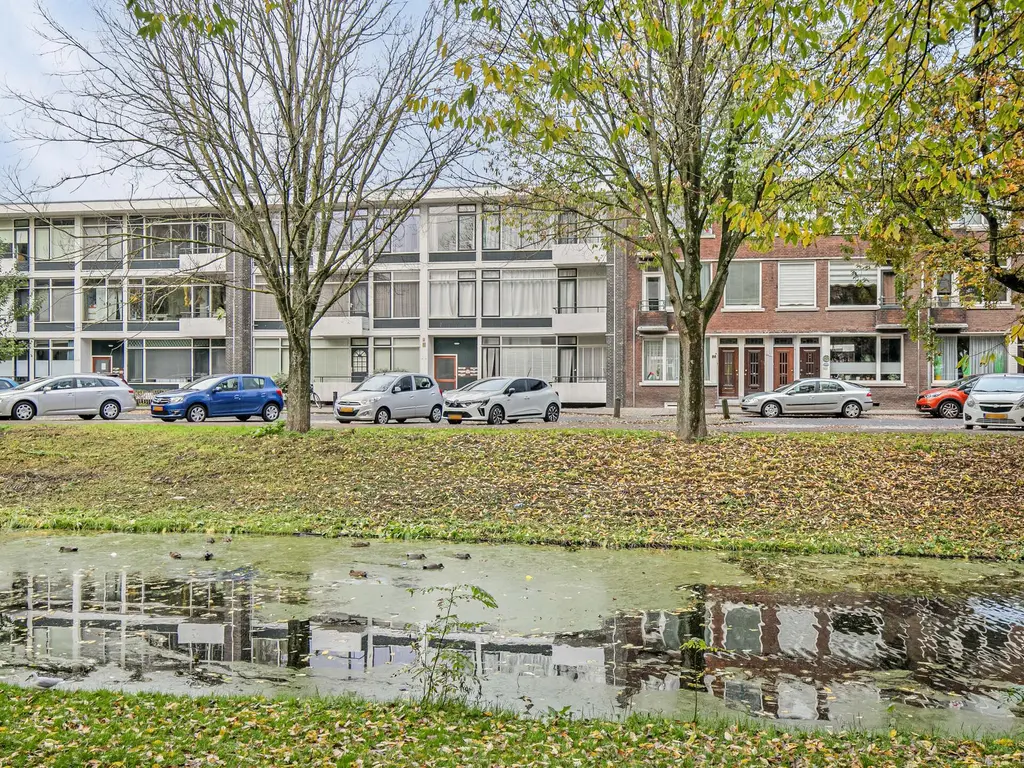 Buys Ballotsingel 88, SCHIEDAM