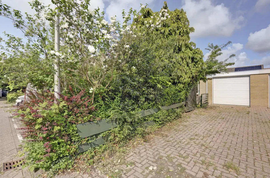 Prins Hendriklaan 37