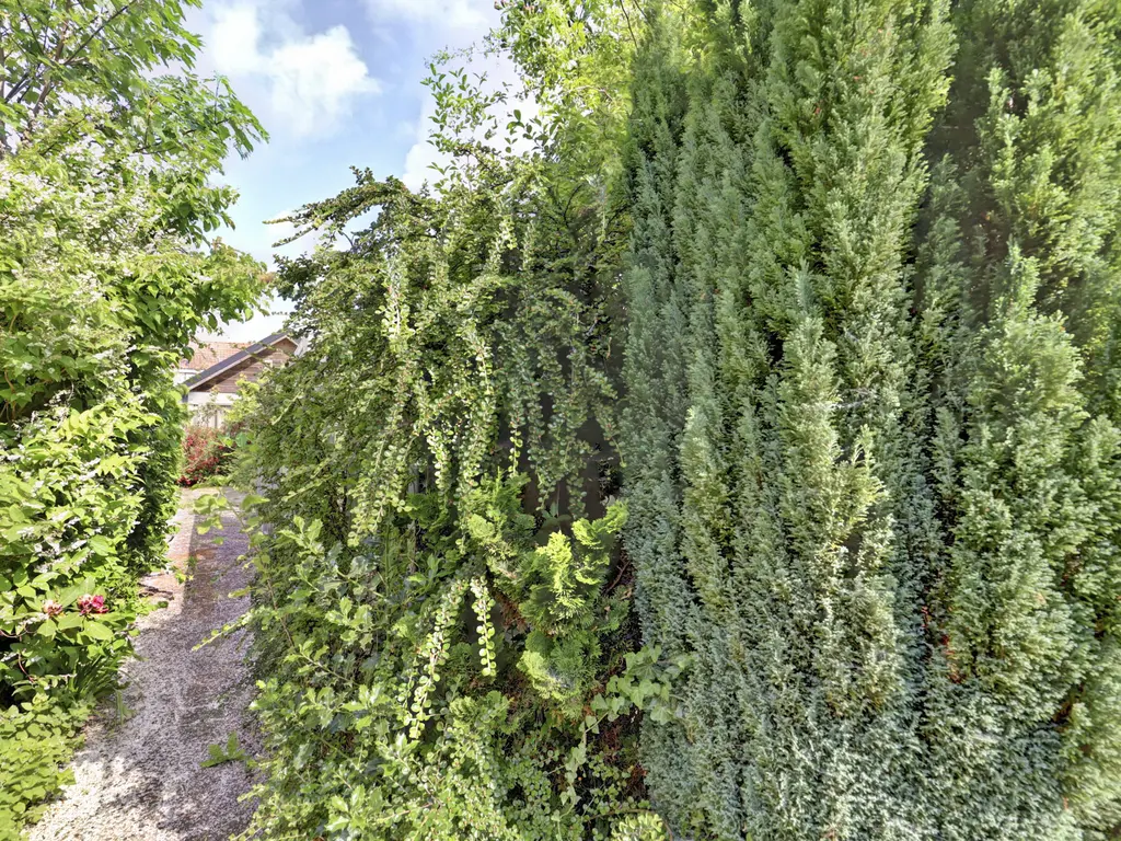 Prins Hendriklaan 37, ZUIDLAND