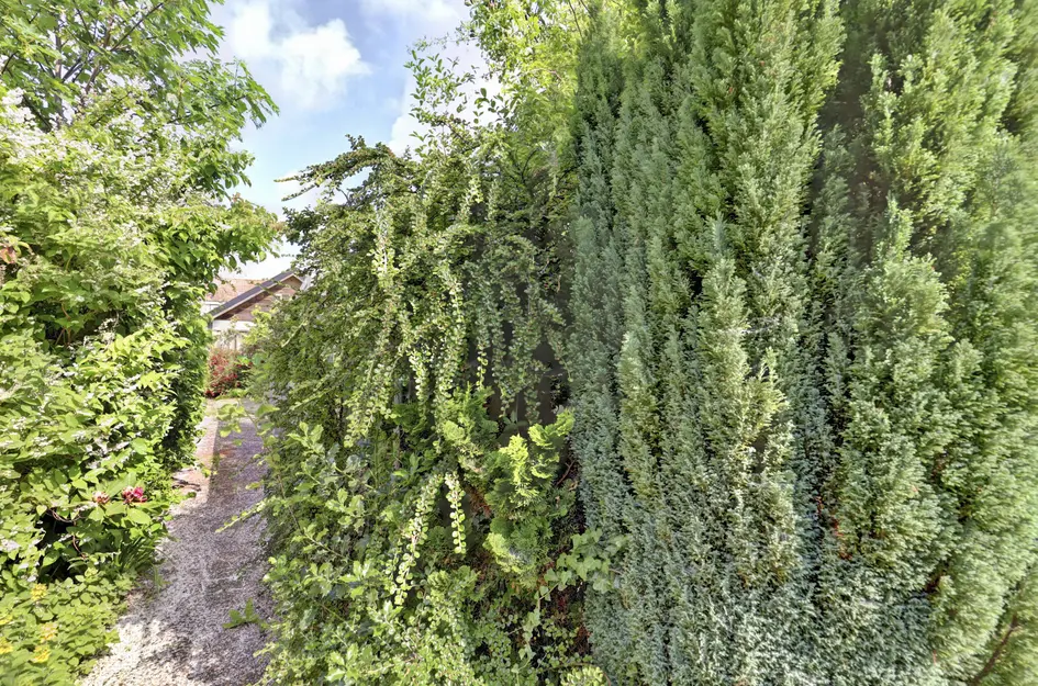 Prins Hendriklaan 37