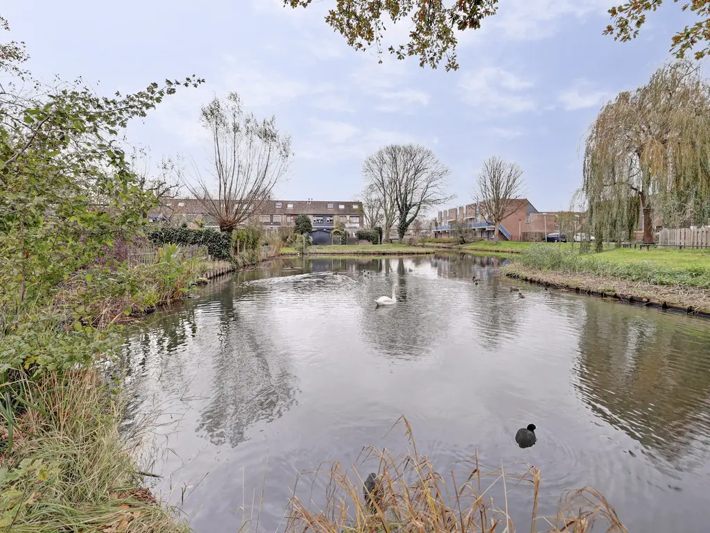 Wikkedreef 10, SPIJKENISSE