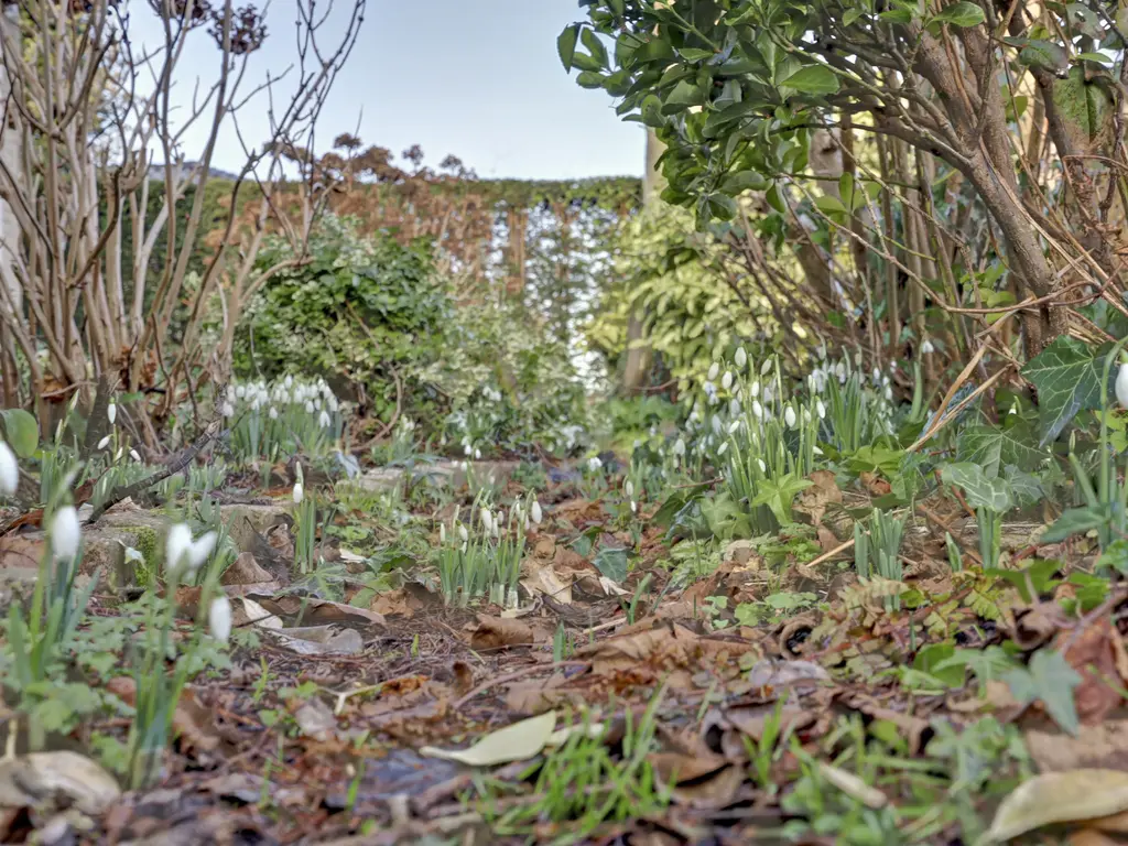 Notaris L P vd Blinkln 11a, BRIELLE