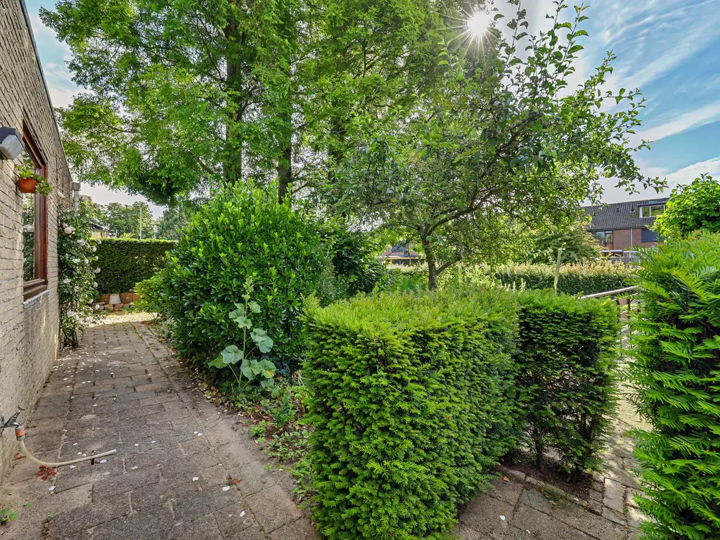 Notaris L P vd Blinkln 11a, BRIELLE