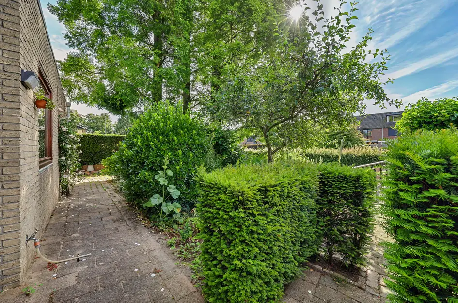 Notaris L P vd Blinkln 11a