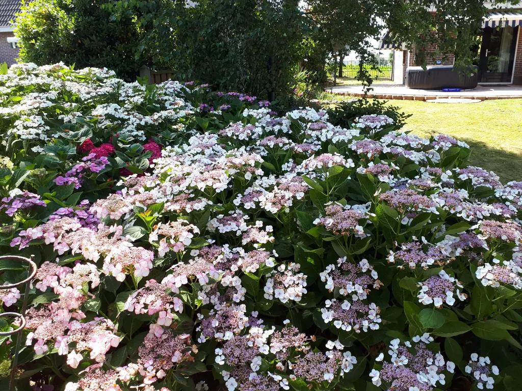 Oudelandsedijk 55a, ABBENBROEK
