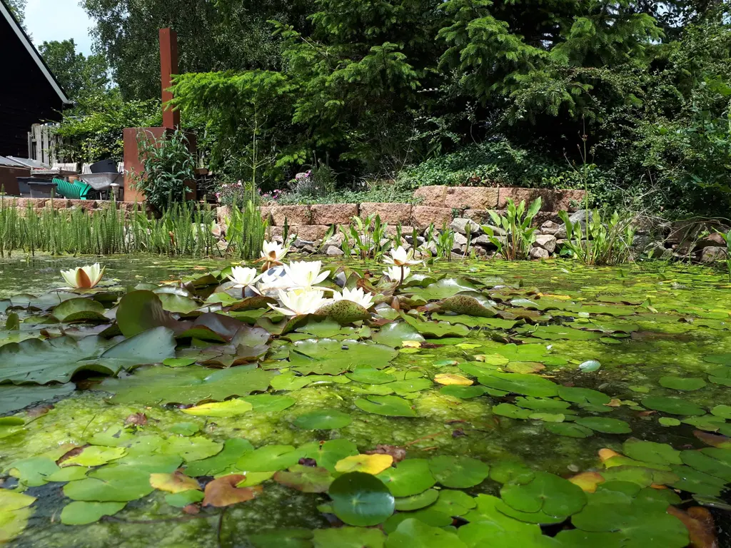 Oudelandsedijk 55a, ABBENBROEK