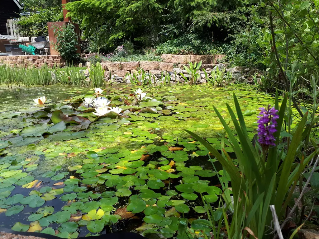 Oudelandsedijk 55a, ABBENBROEK