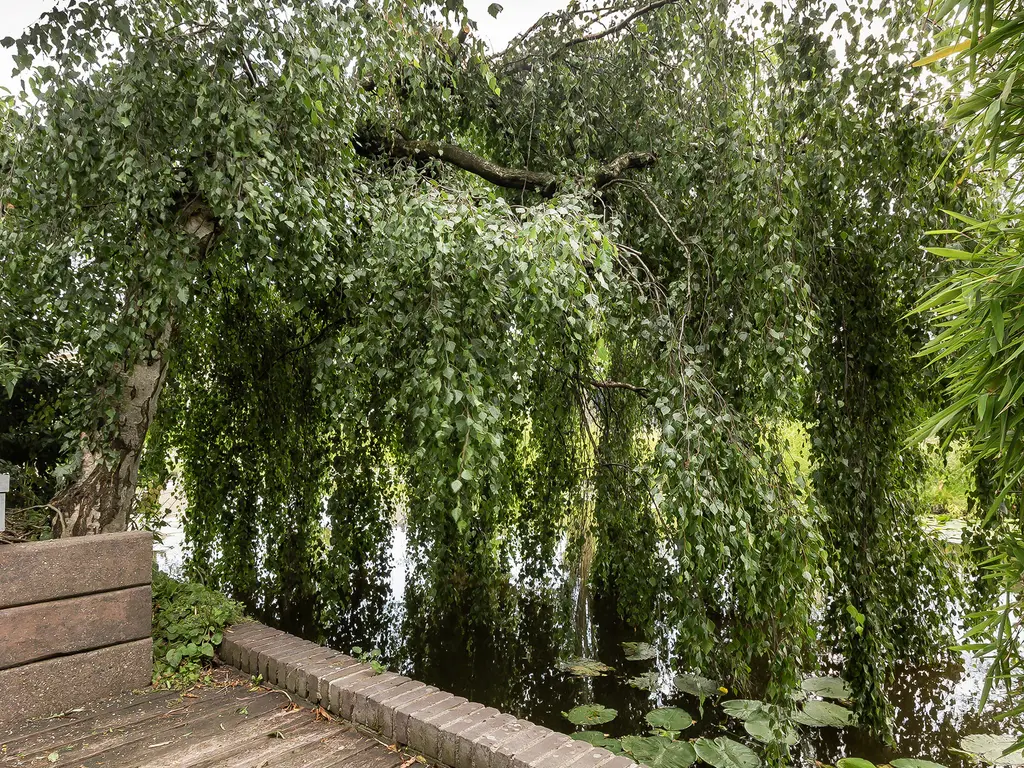Mahlerstraat 8, CAPELLE AAN DEN IJSSEL