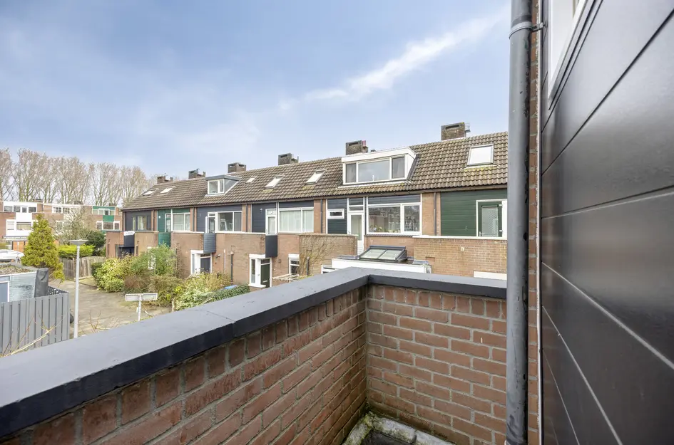 Karmozijnbes 18