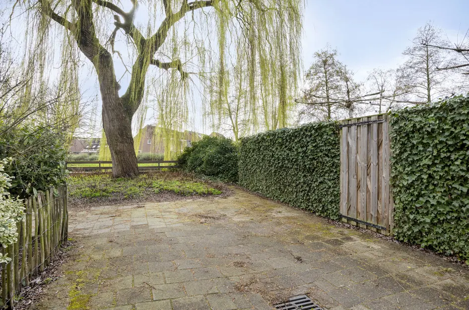 Karmozijnbes 18
