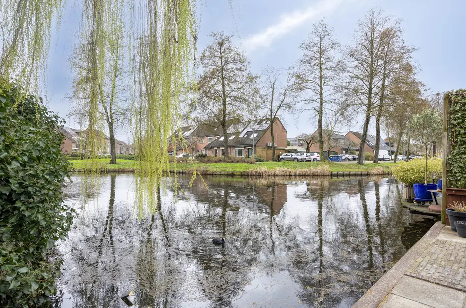 Karmozijnbes 18