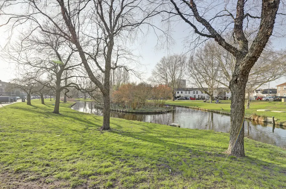 Halleystraat 11