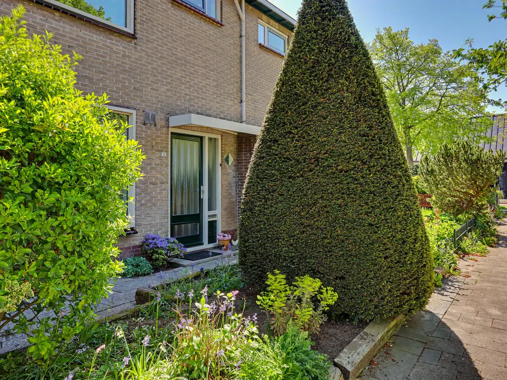 Prunuslaan 3, ROCKANJE