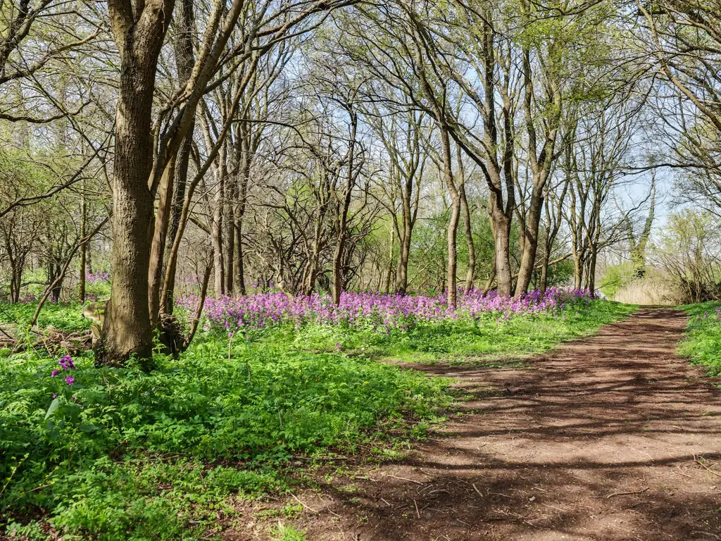 Gorsplein 2, Struweel 1 , OOSTVOORNE