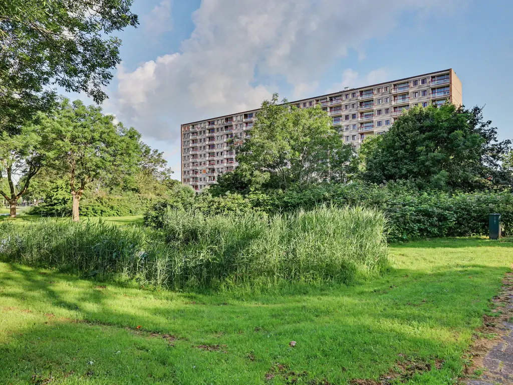 Akeleistraat 24, SPIJKENISSE
