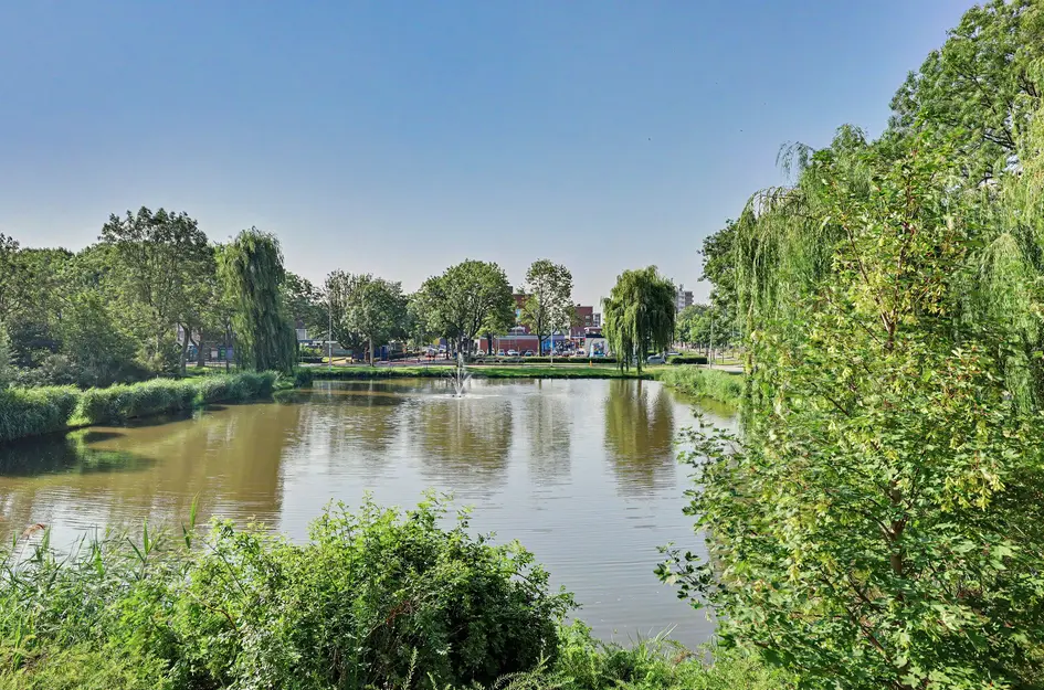 Akeleistraat 24