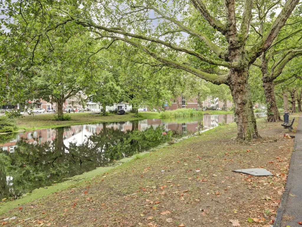 Koepelstraat 30C, ROTTERDAM