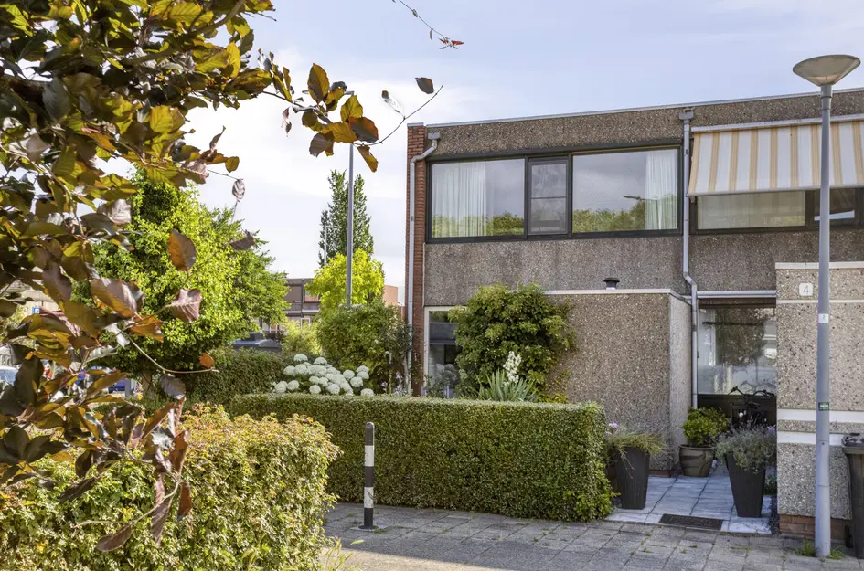 Zomerdoorn 2