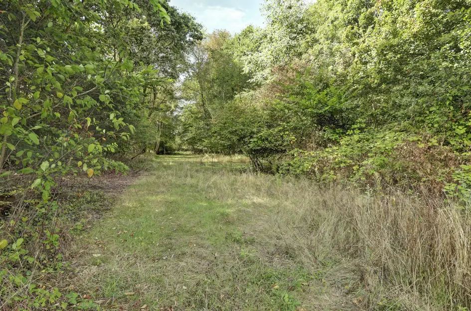 Middelweg 36