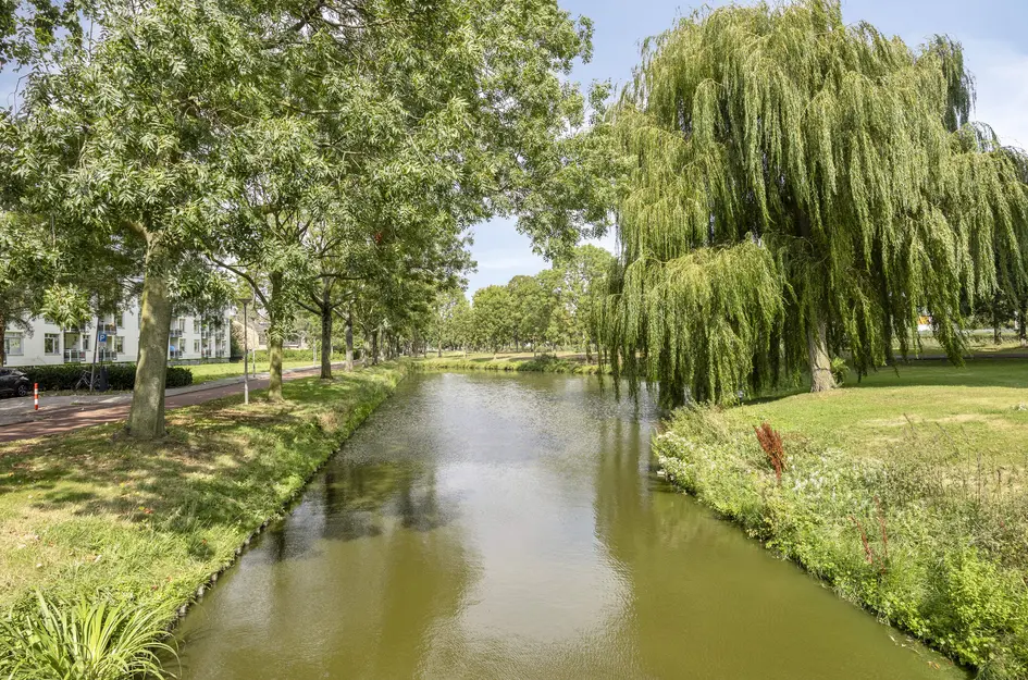Dreessingel 4