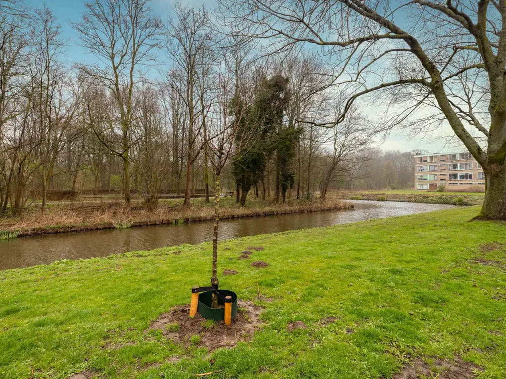 Hieronymus Boschpad 6, SPIJKENISSE