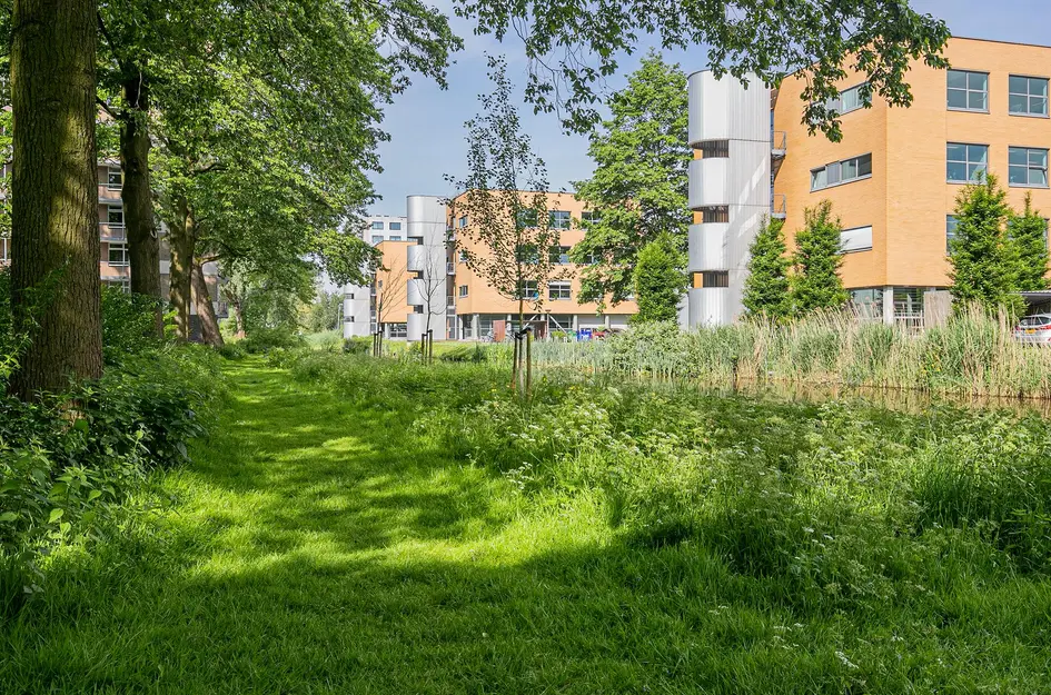 Godijn van Dormaalstraat 140