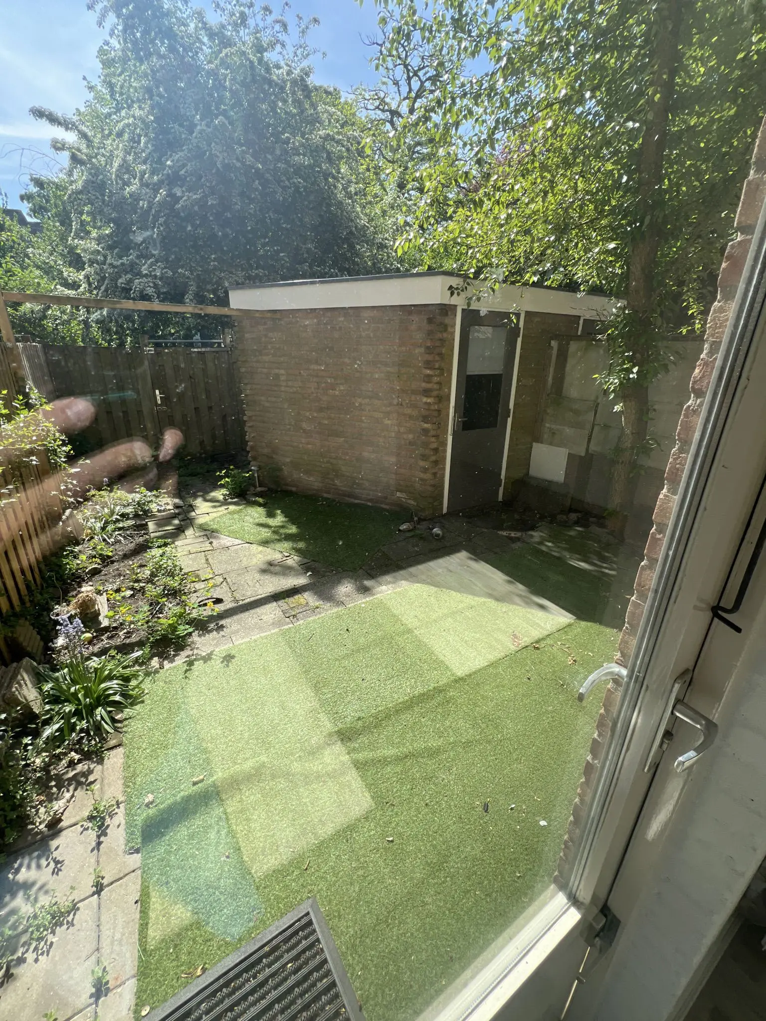 Image 12