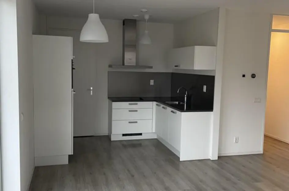 Willem Passtoorsstraat 94