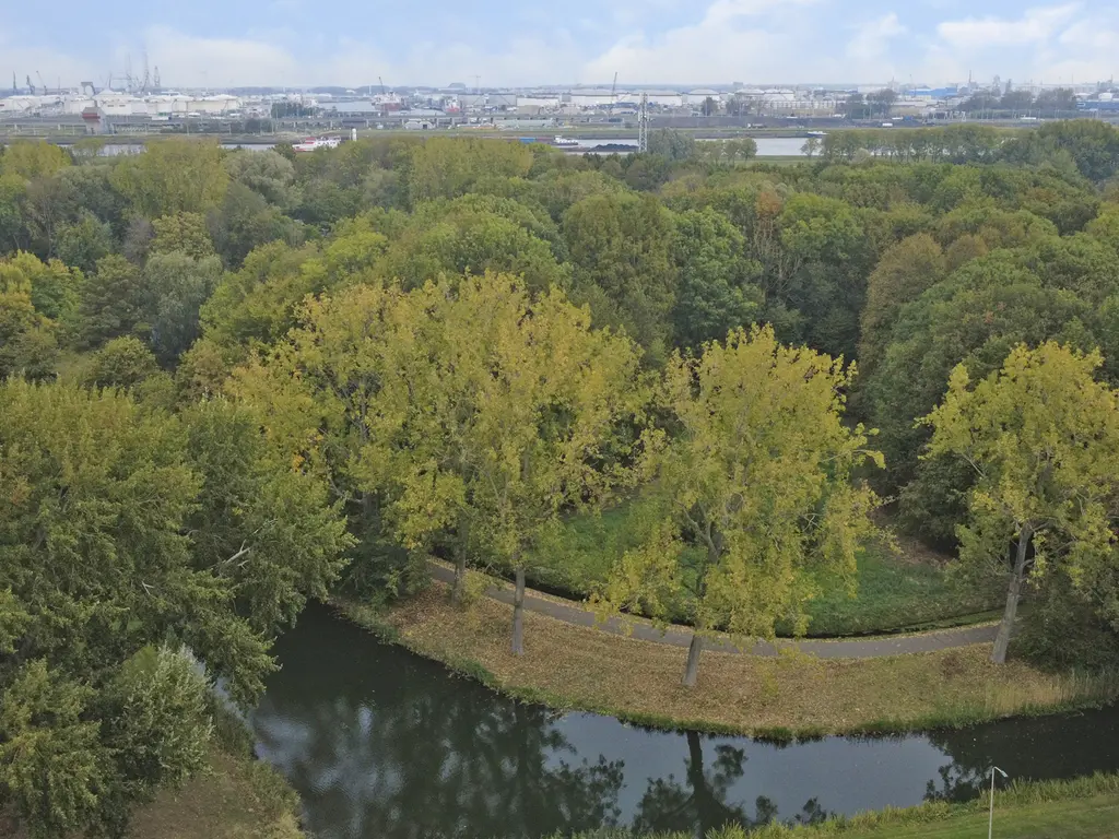 Boterbloempad 10, SPIJKENISSE