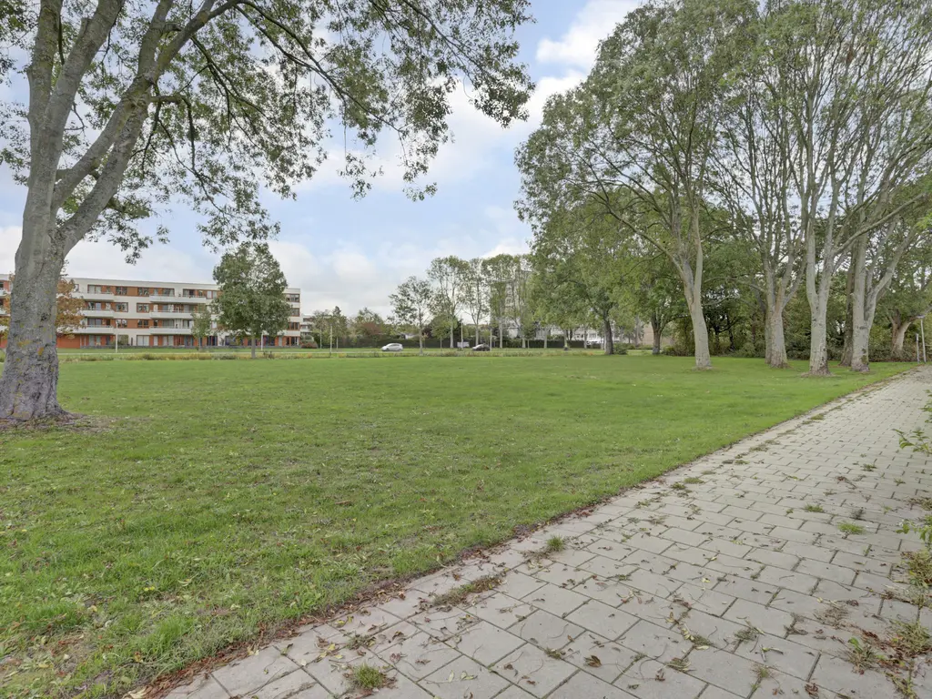 G.H. Breitnerpad 12, SPIJKENISSE