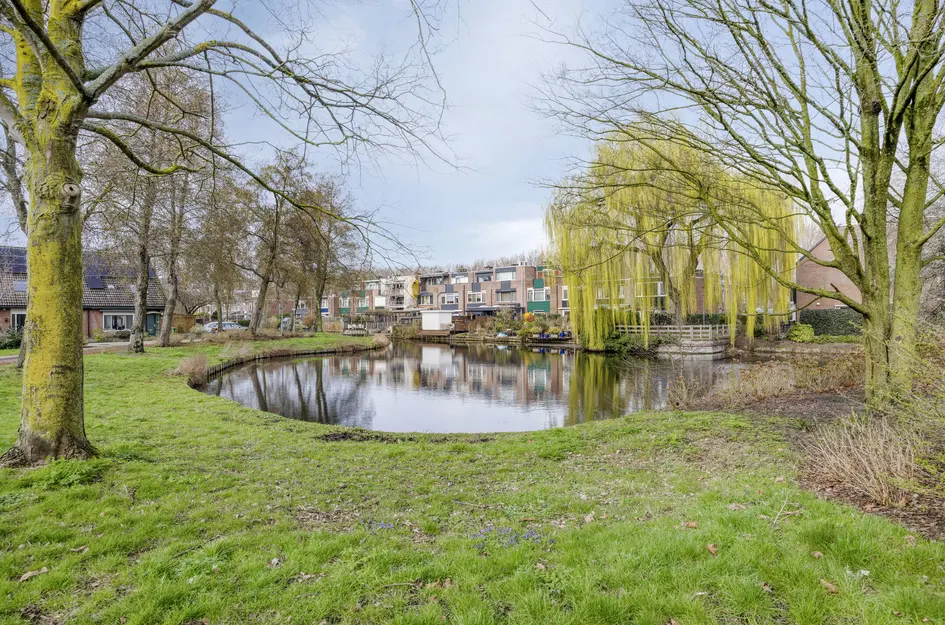 Karmozijnbes 18