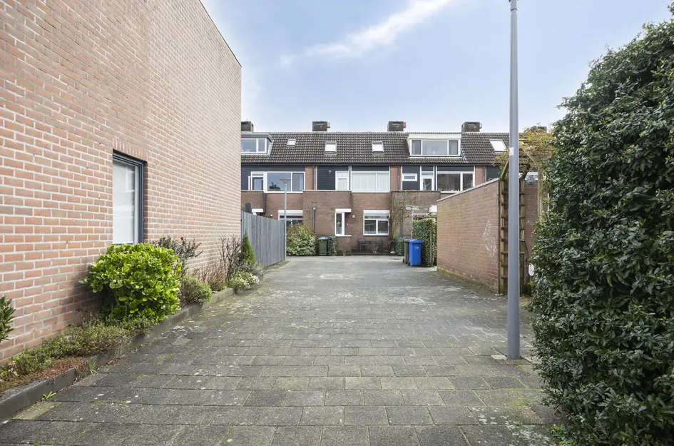 Karmozijnbes 18