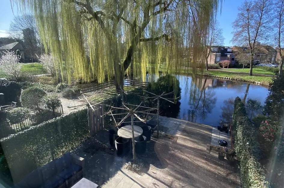 Karmozijnbes 18