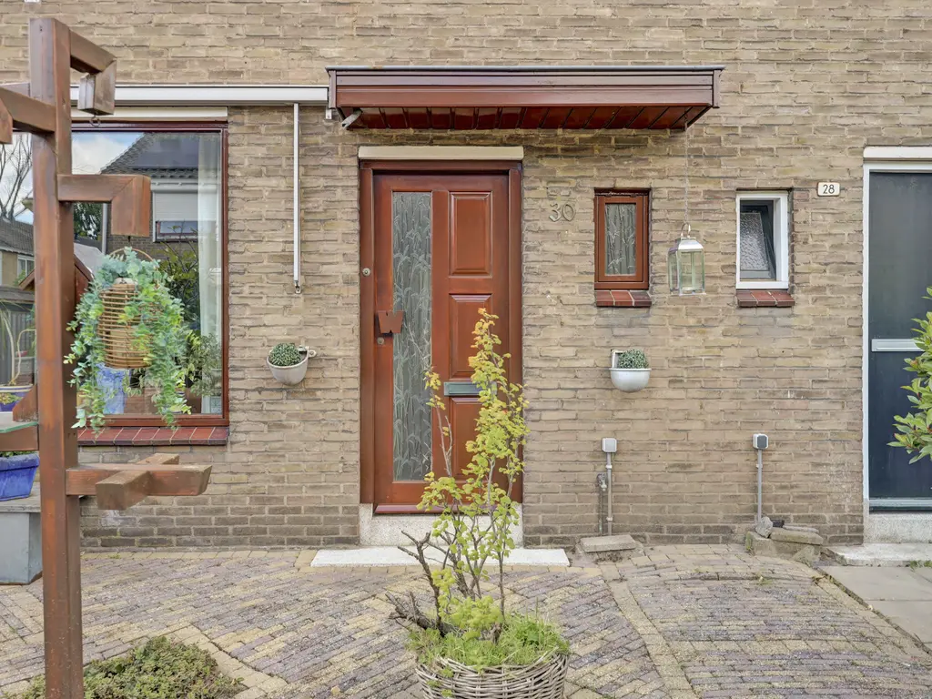 Ribeslaan 30, SCHIEDAM