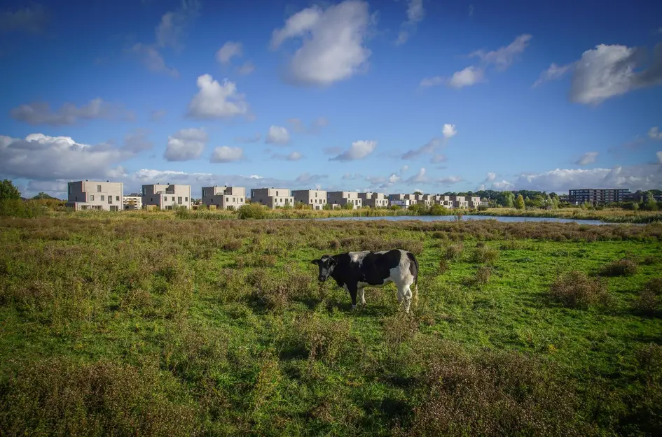 Morgen Buurt 5 fase 1a - rijwoningen