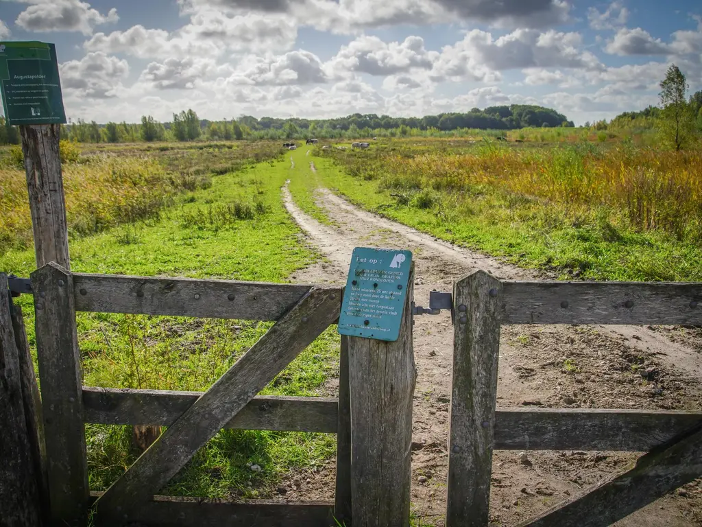 Morgen Buurt 5 fase 1a - rijwoningen, Bergen op Zoom