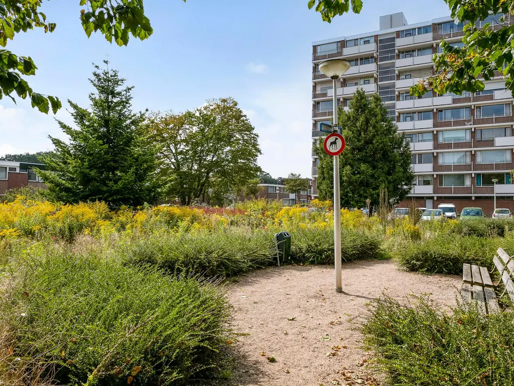 Poolsterstraat 16, BERGEN OP ZOOM