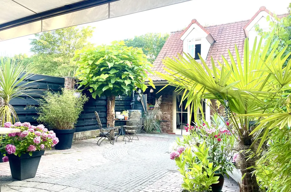 Antwerpsestraatweg 376