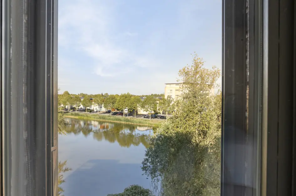 Ansjovislaan 226