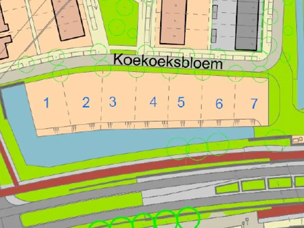 Koekoeksbloem , BERGEN OP ZOOM