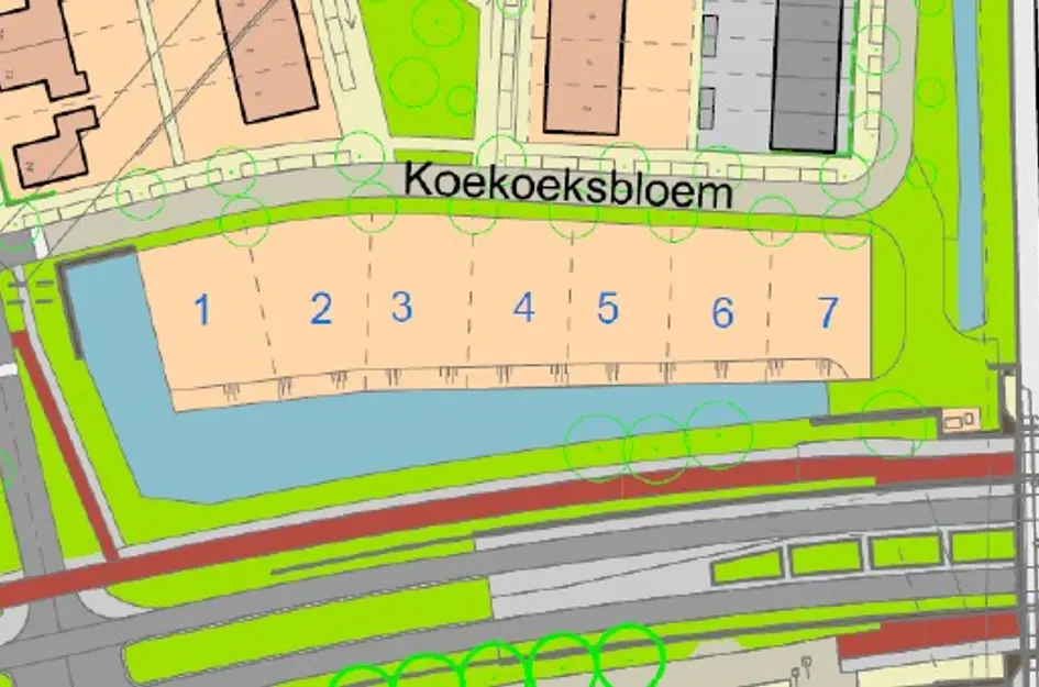 Koekoeksbloem 