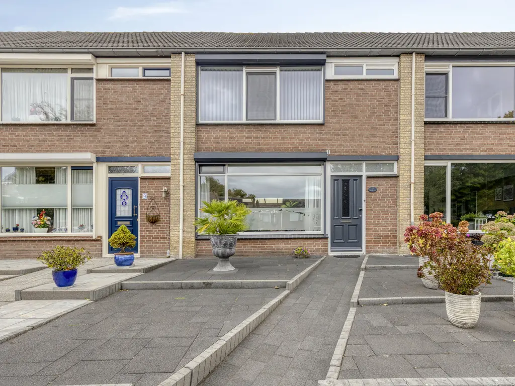 Koffiebos 3, HALSTEREN